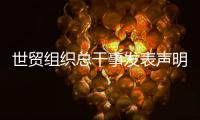 世贸组织总干事发表声明
：欢迎中美经贸高层会谈取得积极成果