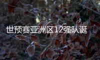 世预赛亚洲区12强队诞生	！中日韩澳伊齐聚