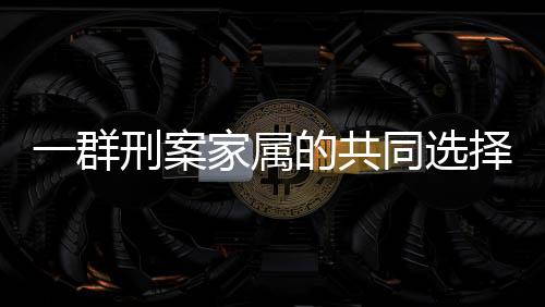 他们大多没有专业背景