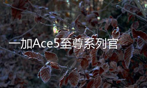 分别为玻璃材质与素皮材质