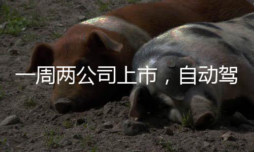 隔天（美东时间10月25日）