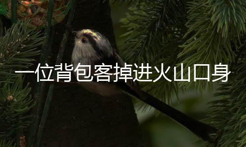 口身由一名导游带领