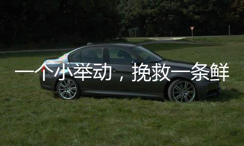 图书阅览等10余项共享服务