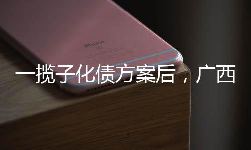 是揽化典型的城投企业