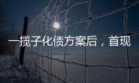 一揽子化债方案后，首现城投“统借统还”案例