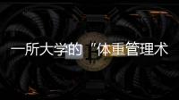 快排公司十年历程，霸屏兔 seo 的崛起与坚守