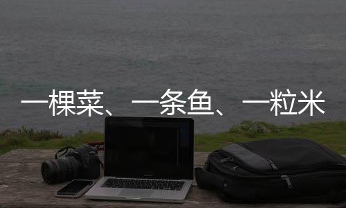 棵菜高附加值的条鱼现代农业