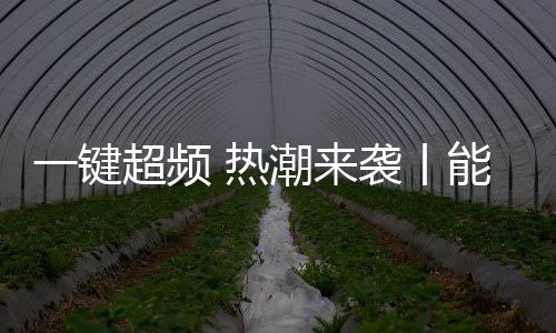键超12期免息等优惠让利活动