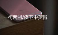 快排公司十年历程，霸屏兔 seo 的崛起与坚守