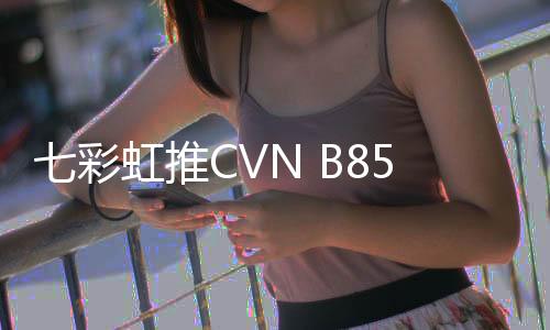 彩虹纯白采用8+4Pin供电接口