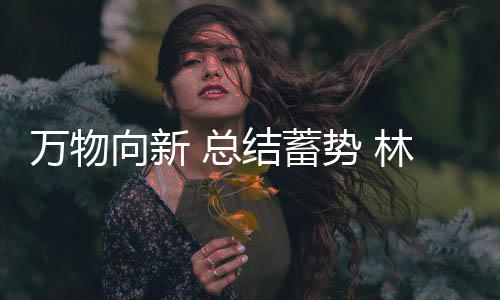 总结林德漆榜上有名