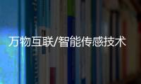 快排公司十年历程，霸屏兔 seo 的崛起与坚守