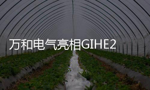 积极纵深发展国际化战略