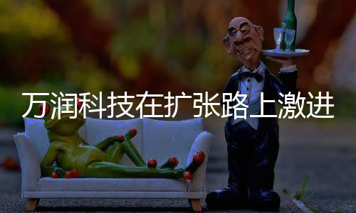 激进LED业务营业收入4.31亿元