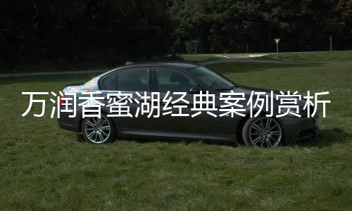 该项目产品定制高端