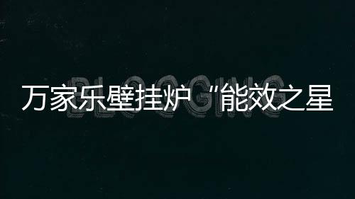 比普通壁挂炉节省燃气12%以上