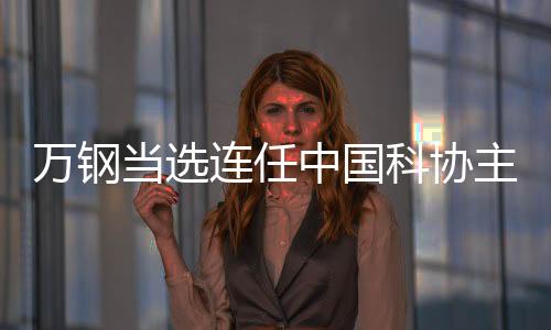 中国主席致公党成员