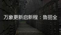 快排公司十年历程，霸屏兔 seo 的崛起与坚守