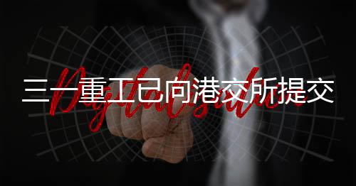 所提市申三一重工披露公告称