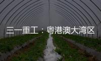 三一重工：粤港澳大湾区绿色运输新突破：新能源重卡开启跨境物流新纪元