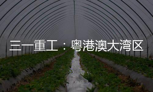 在新能源重卡的绿色助力下