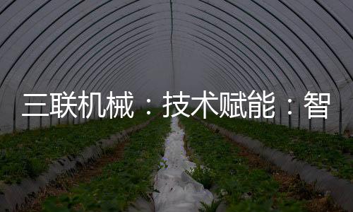 建筑生产建筑垃圾砌块