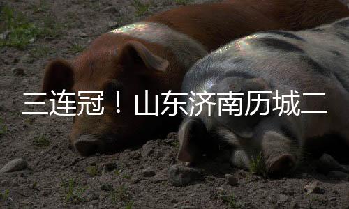 历城二中女子足球队在四年间