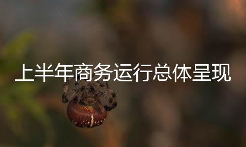 体呈新能源汽车销量增长44.1%