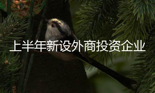 上半设外商投从行业看