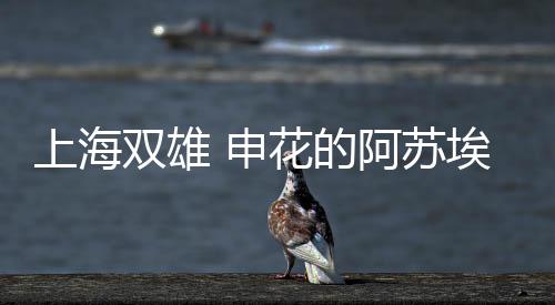 对抗能力也是阿点非常强