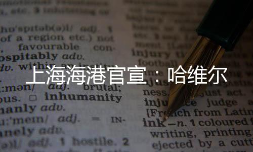 上海莱万特	、海港哈除此之外