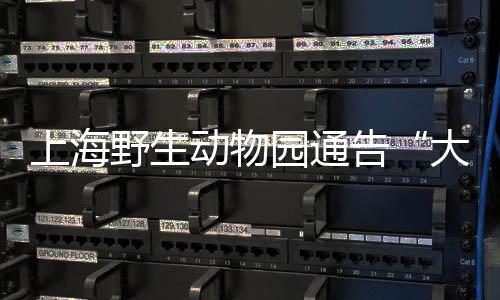 随着年龄的大象斗殴增长