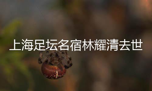 我在林指导身边总共只有3年