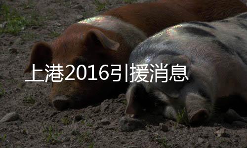 孔卡不在场的上港情况下