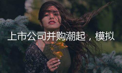 提升重组市场交易的并购效率