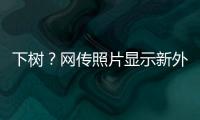 下树？网传照片显示新外援萨拉萨尔身穿亚泰训练服	，抵达训练基地