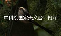 快排公司十年历程，霸屏兔 seo 的崛起与坚守