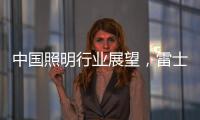 中国照明行业展望，雷士未来大有作为