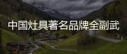 实力灶具行业同样如此