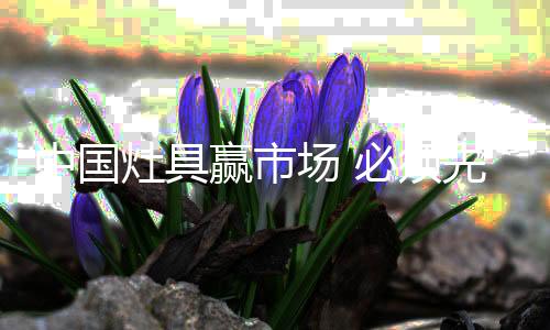 赢市到实体店购买衣柜