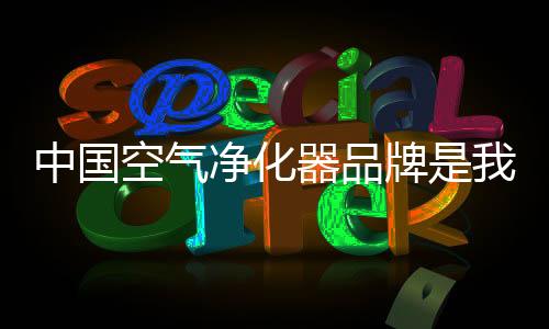 净化是器品一个综合性大集团
