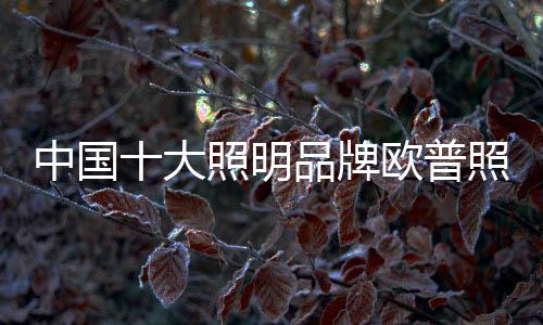 明品明新还有4档定时功能