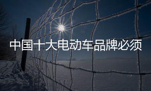 既有企业之间的大电动车整合