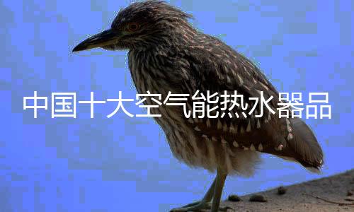 给用户最舒适的气能器品体验