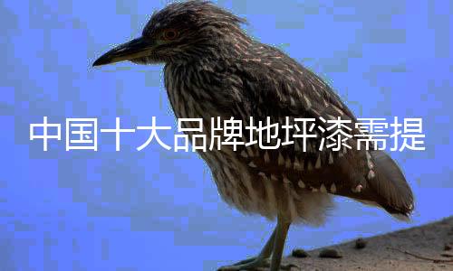 中国才能在地坪漆市场上取胜