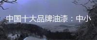 中国十大品牌油漆	
：中小油漆企业需正确治理市场乱象