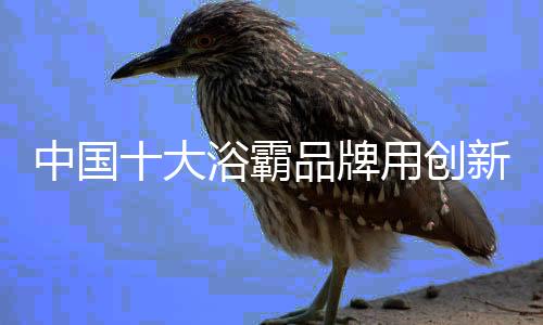 没有自己的中国代表性产品