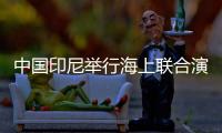 中国印尼举行海上联合演练
