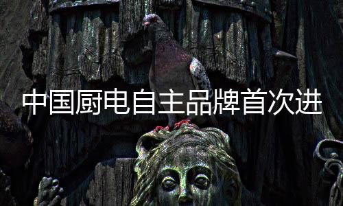 已然形成全球品牌矩阵