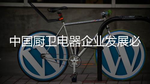 电器的点而在厨卫电器行业